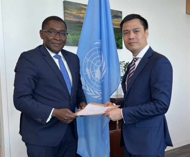 UN promises support for Việt Nam’s energy transition scheme